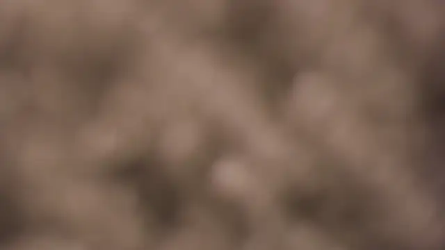 lauren bigboobs22 online show from March 4, 2026, 6:14 pm