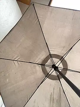 Adele Pinkk online show from October 10, 2025, 10:58 am