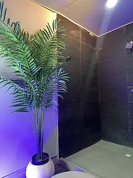 Tayler Kim online show from April 10, 2026, 6:56 pm