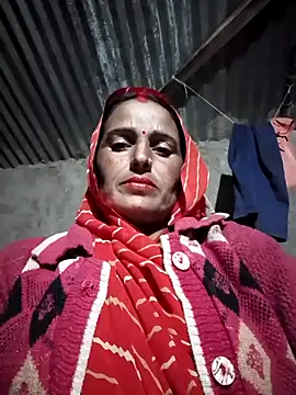 Jalebi bay online show from November 12, 2025, 1:00 pm