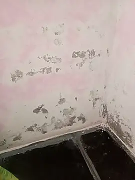 chubby babitha-telugu online show from September 25, 2025, 3:21 am