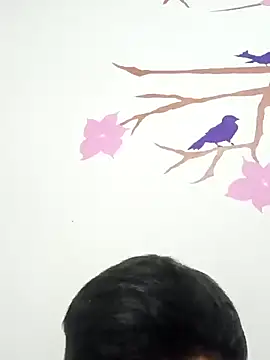 Snapshot of DavidVergagigante420 chatting on February 9, 2026, 4:05 am DavidVergagigante420 online show from February 9, 2026, 4:05 am