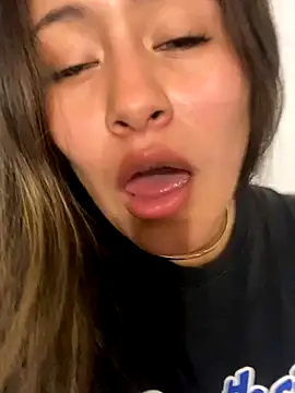 leil 6680 online show from November 16, 2025, 8:09 am