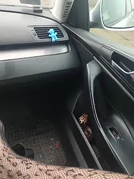 MiriandZacki online show from December 21, 2025, 12:23 pm