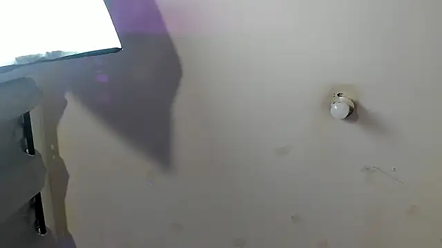 Ambeer fox  online show from February 23, 2026, 7:55 pm