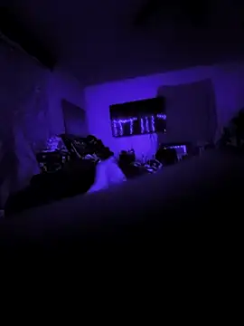 littlecockginger online show from October 31, 2025, 10:16 am