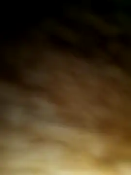 WolfMenSL online show from October 8, 2025, 3:37 am