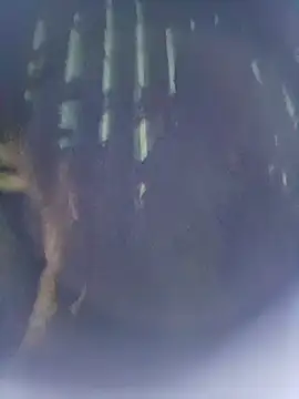 8133vaibhavh online show from October 9, 2025, 2:48 pm