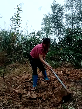 kemtuoi-sex online show from October 31, 2025, 8:37 am