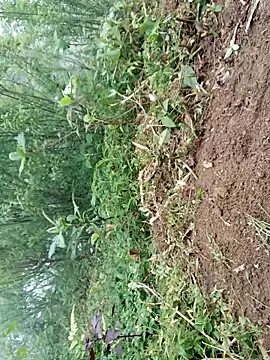 kemtuoi-sex online show from April 19, 2026, 9:41 am