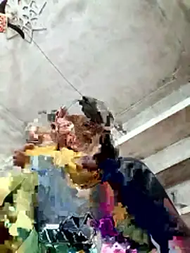 Cm pooja online show from January 10, 2026, 10:39 am