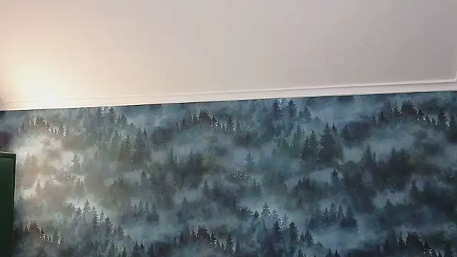 MarkShot  online show from November 11, 2025, 8:31 pm