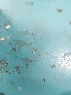 haryanaboypanipat12 online show from April 9, 2026, 7:25 am