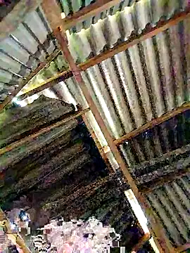 Snapshot of lyuyenkk chatting on November 3, 2025, 1:08 am lyuyenkk online show from November 3, 2025, 1:08 am