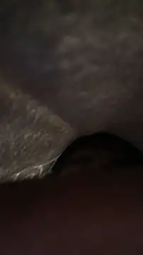 panganamno online show from November 15, 2025, 5:09 pm