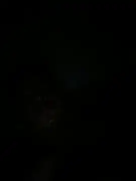 RangingWarranty online show from October 20, 2025, 7:20 am