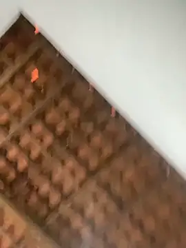 Milenvs online show from March 5, 2026, 12:23 pm