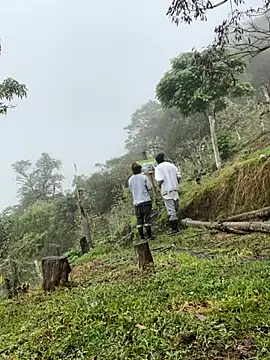 sky-wolves online show from October 11, 2025, 3:43 pm