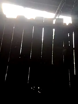 donna-bae online show from October 10, 2025, 11:04 pm