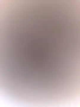 Ruby-sexyx online show from November 20, 2025, 3:01 pm