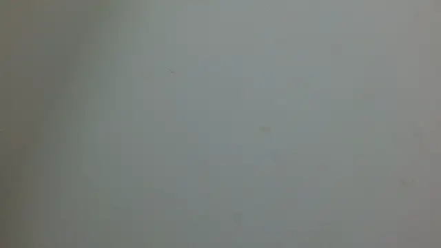 cristal1609 online show from May 14, 2026, 1:07 pm