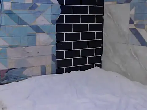 Snapshot of Newt4U chatting on November 11, 2025, 10:04 am Newt4U online show from November 11, 2025, 10:04 am