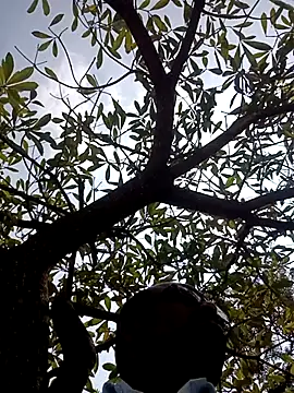 ipvk online show from March 2, 2026, 7:15 am