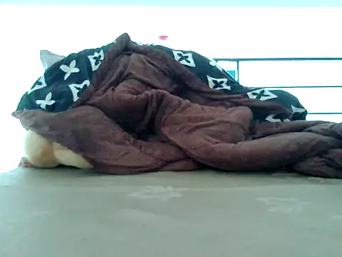 loveninja online show from November 8, 2025, 6:13 am