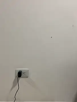 Rouse Monroe online show from April 29, 2026, 2:48 am