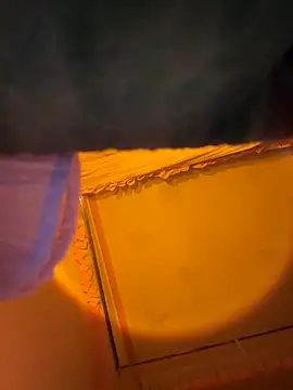 Tramy xx online show from January 6, 2026, 3:21 am