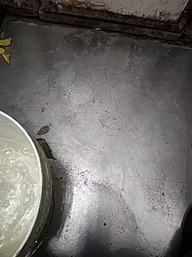 telugumodda4396 online show from November 12, 2025, 1:50 am