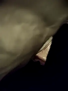 telugumodda4396 online show from November 15, 2025, 10:01 am