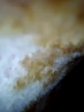 Snapshot of alone_boy802 chatting on October 30, 2025, 6:26 am alone boy802 online show from October 30, 2025, 6:26 am