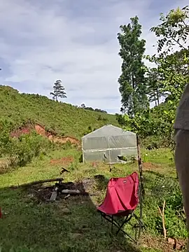 Helen-Tran online show from October 24, 2025, 1:35 am