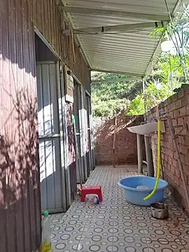 Helen-Tran online show from November 26, 2025, 1:17 am