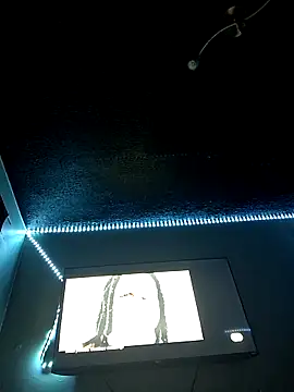 Painstickwes online show from February 5, 2026, 9:52 pm