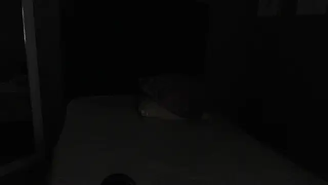 Vic Taylor online show from November 7, 2025, 12:43 am