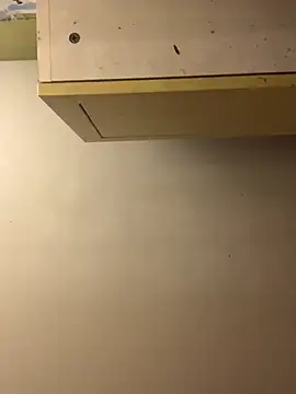 chtentation online show from December 15, 2025, 4:50 am