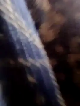 Rs sonam online show from January 18, 2026, 4:05 am