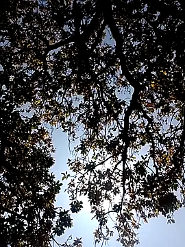 Rs sonam online show from March 7, 2026, 5:26 am