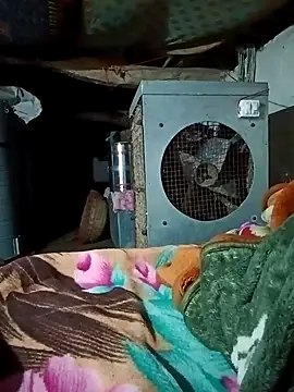 Lona2525 online show from February 16, 2026, 8:38 pm