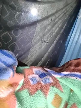 sam salman online show from October 9, 2025, 6:17 pm