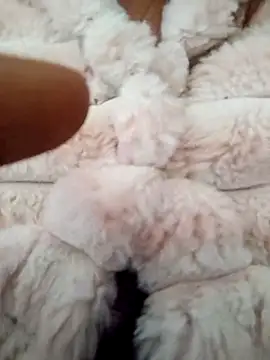 Snapshot of PEEHU-50 chatting on January 17, 2026, 2:38 am PEEHU-50 online show from January 17, 2026, 2:38 am