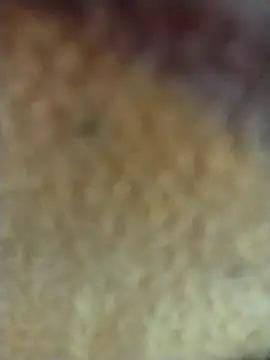 Snapshot of PEEHU-50 chatting on February 2, 2026, 3:27 am PEEHU-50 online show from February 2, 2026, 3:27 am