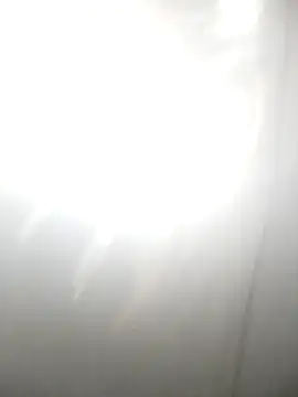 Snapshot of PEEHU-50 chatting on February 18, 2026, 2:29 am PEEHU-50 online show from February 18, 2026, 2:29 am