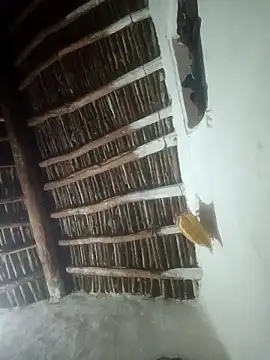 LOVE-VIKA online show from February 23, 2026, 1:19 pm