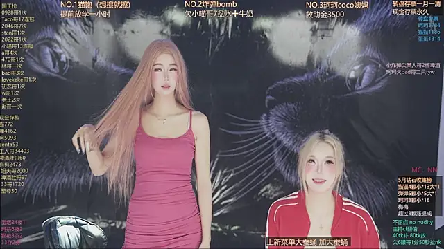 Snapshot of sweetgirls666 chatting on May 11, 2026, 11:16 am sweetgirls666 online show from May 11, 2026, 11:16 am