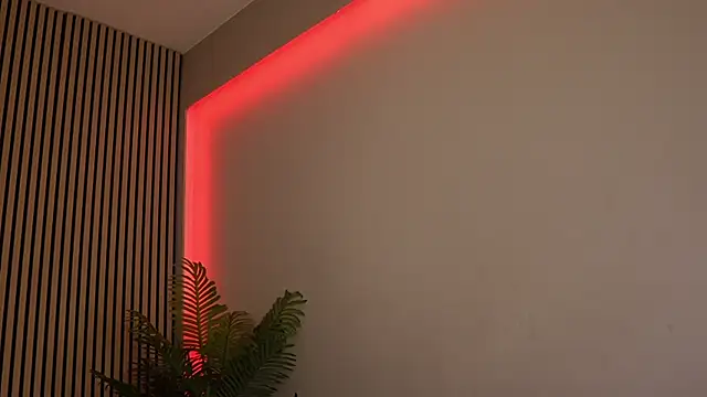 sisi von dee online show from November 11, 2025, 8:53 pm