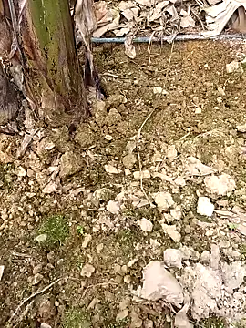 Sikici0734 online show from February 24, 2026, 9:40 am