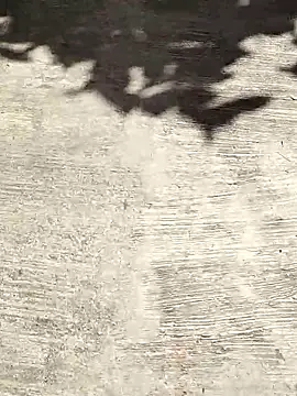 Snapshot of deepti_07 chatting on October 6, 2025, 9:40 am deepti 07 online show from October 6, 2025, 9:40 am